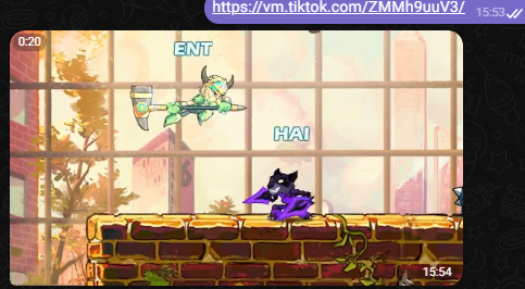 Baixador de video tk