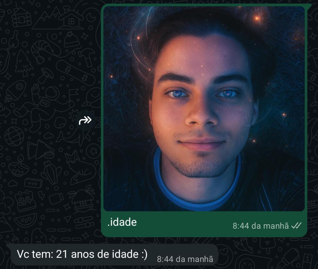Exemplo de uso do Bot para interagir com a IA