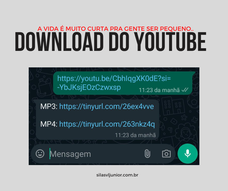 Exemplo de uso do Bot para baixar músicas